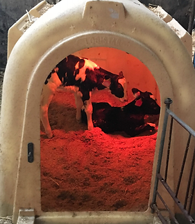 Varmelampe_red (2).png