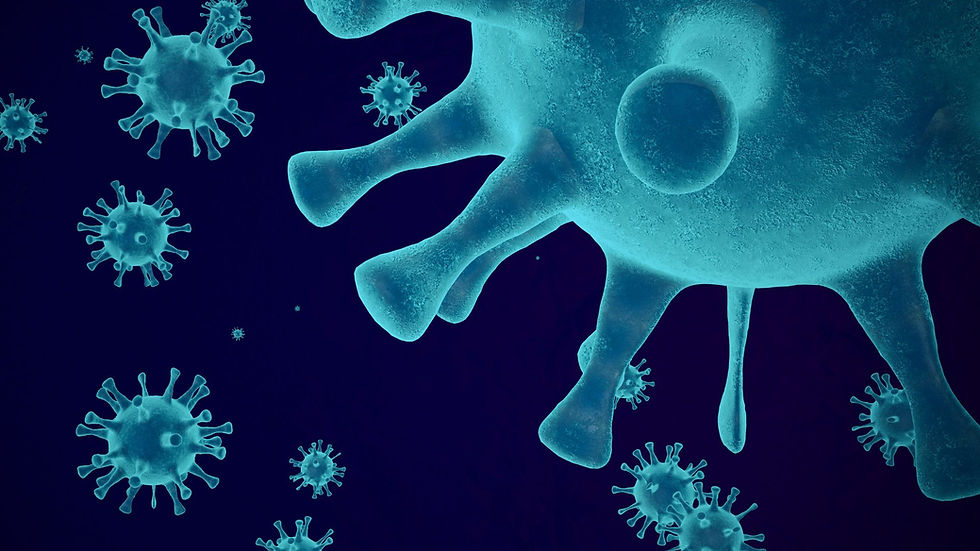 Imagen de referencia. Foto: Shutterstock.