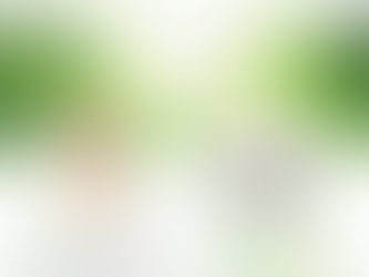 【先着5名様】新・新・新プレゼントキャンペーンのご案内（1/31締切）