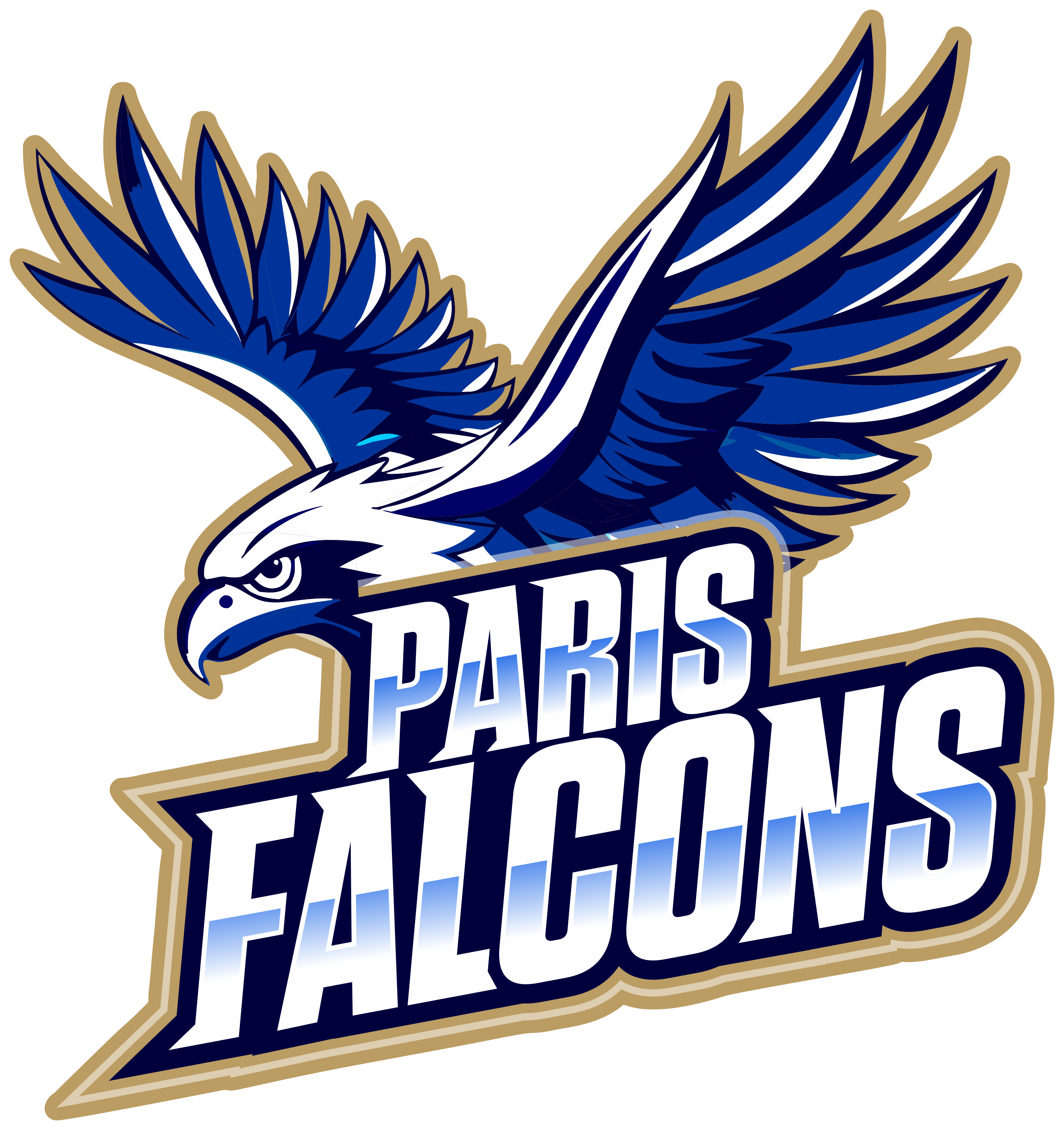 Paris Falcons.png