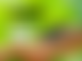 Dia Mundial do Meio Ambiente