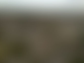 Explore Homan Square's Unique Community Features