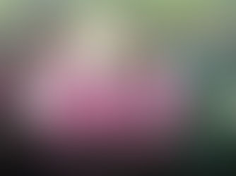 Upcoming Community Events at Homan Square Neighborhood