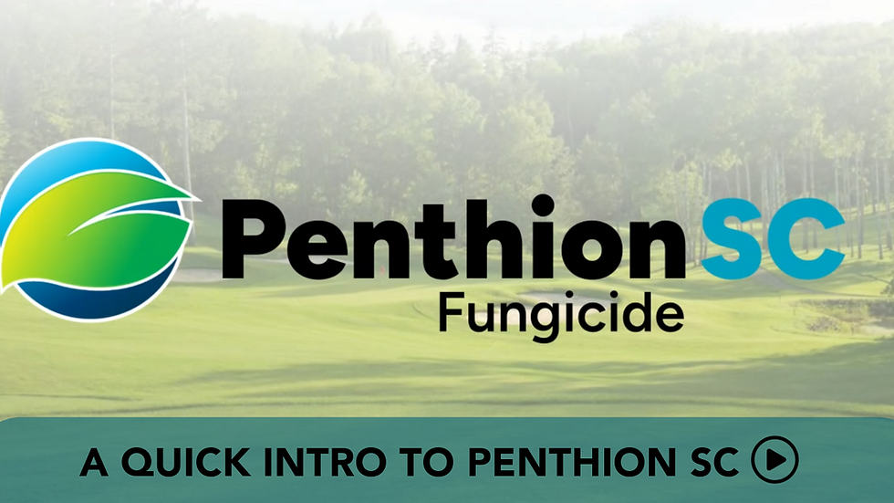 Penthion SC video thumbnail.png