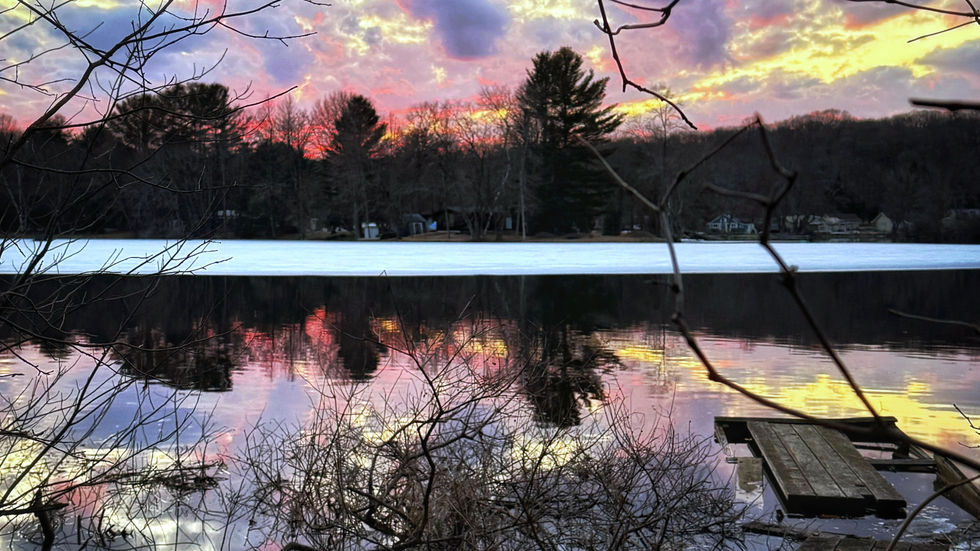 Purple Skies