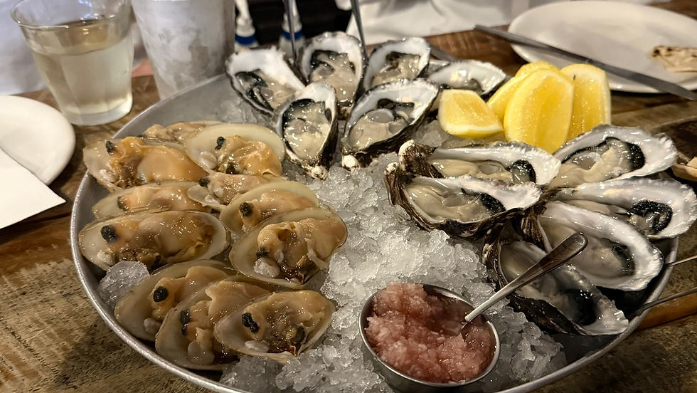 ニュージーランド教育視察で見えた「この国の暮らしと価値観」滞在・文化編