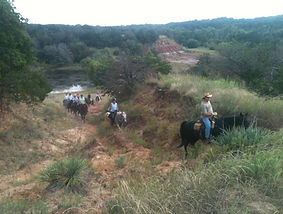 Al and gaited group.jpg