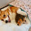 Thumbnail: Doggie Blankie