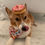 Thumbnail: Donut Frenzy