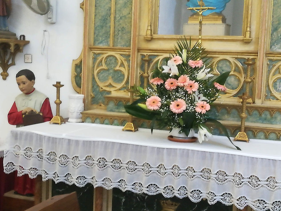 Miniatura: Conjunto comunión "ife"