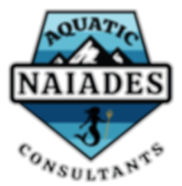 Naiades Consulting logo
