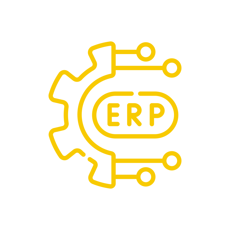 erp-1.png