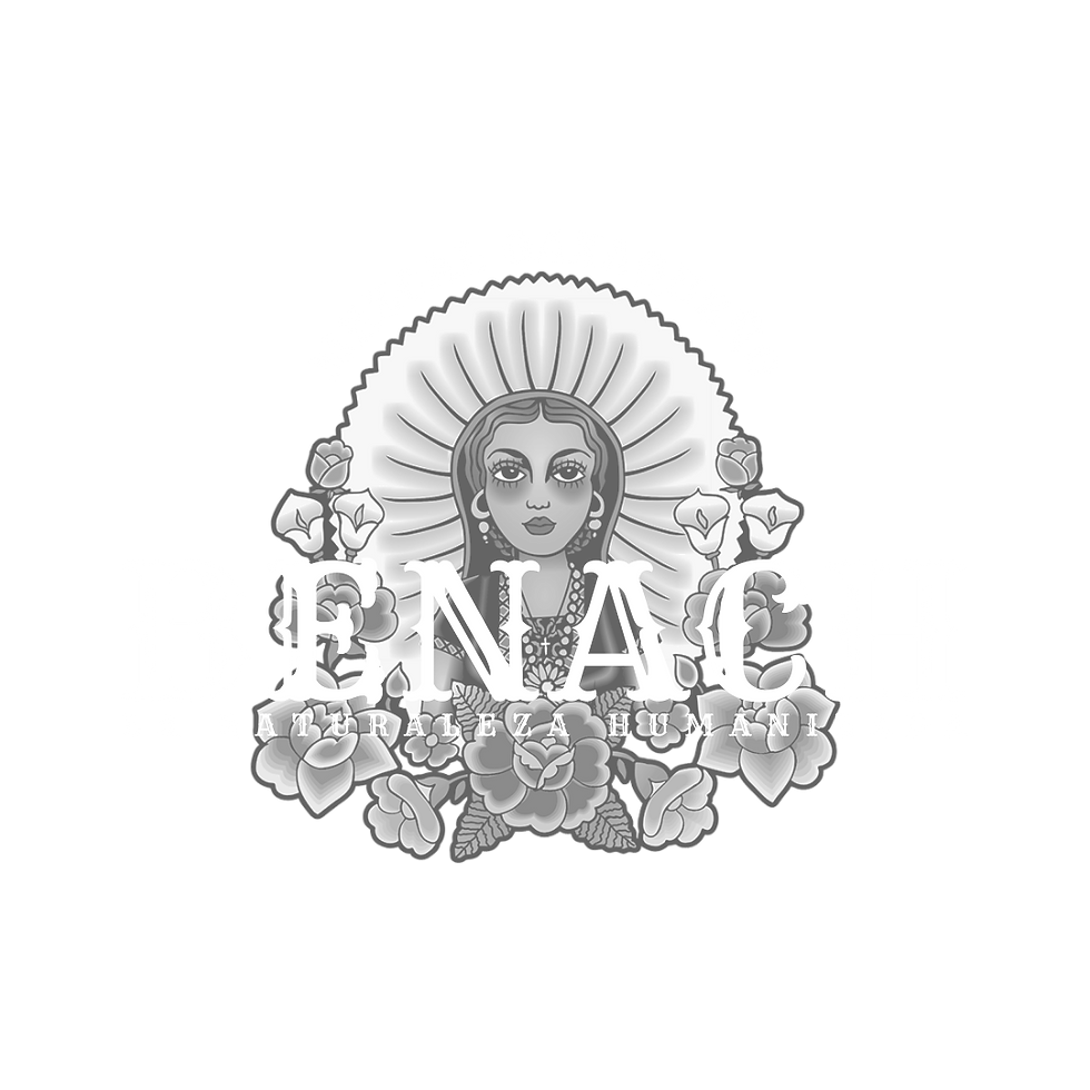 Mezcal Benach Logo