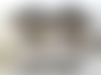 Refinished wooden coffee table with enclosed cabinet