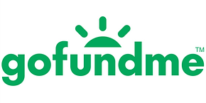 gofundme logo.png