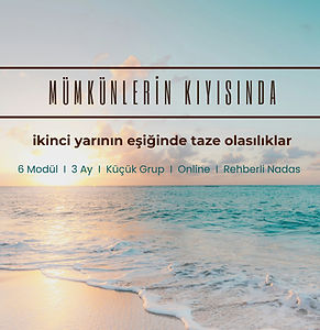 MÜMKÜNLERİN KIYISINDA (33)_edited.jpg
