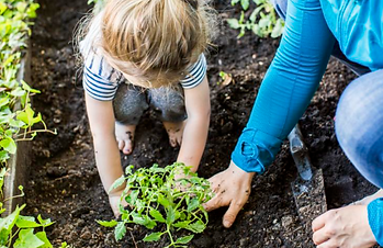 Screenshot 2024-04-05 025638.png