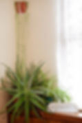 DSCF6017.jpg