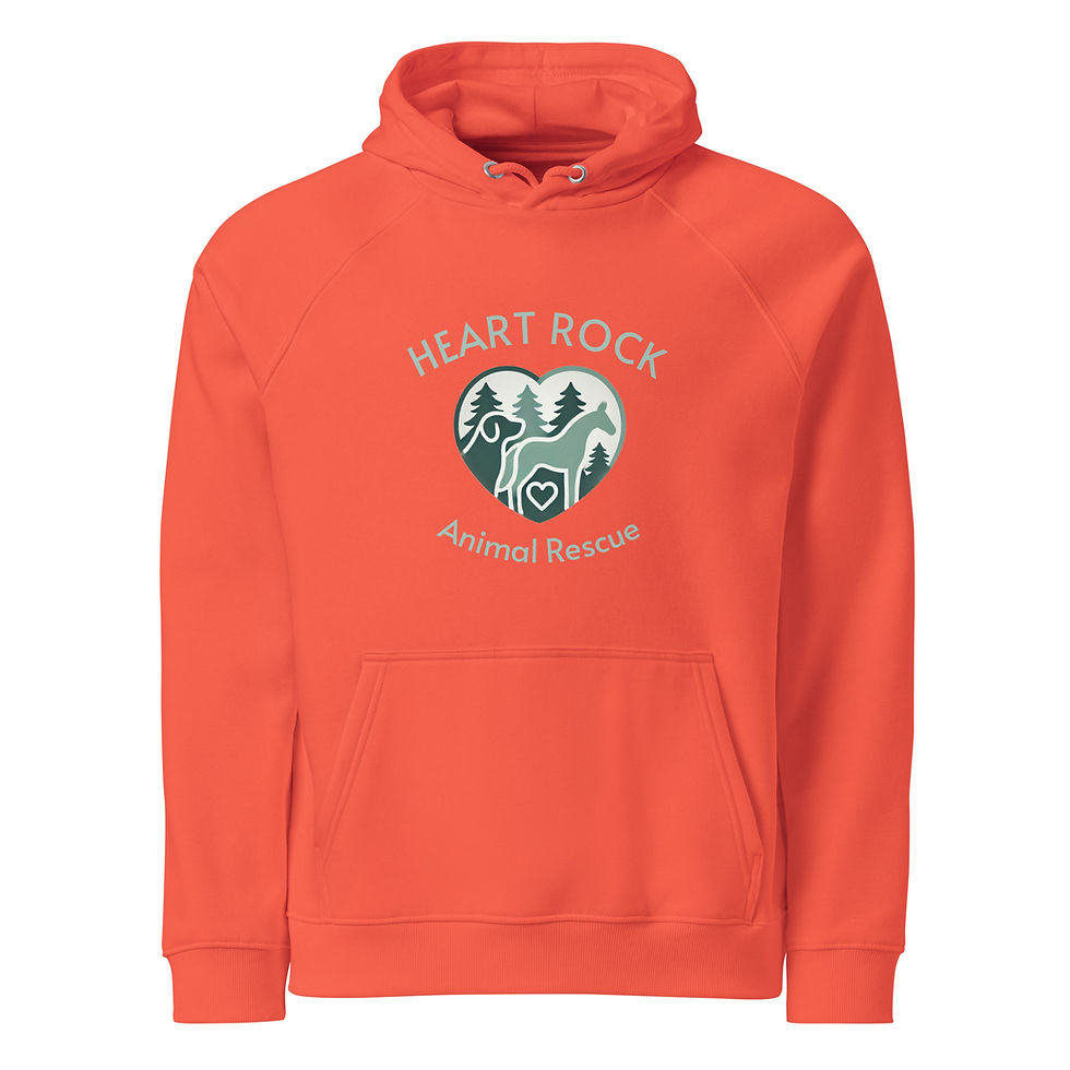 Thumbnail: Unisex eco raglan hoodie