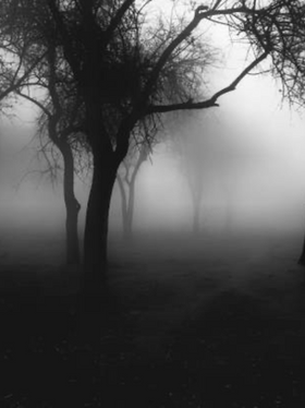 Let There Be Light: Navigating the Winter Blues as a Shift Worker