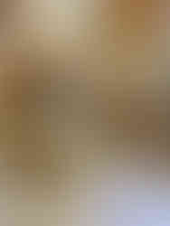 Delightful tiered tray of assorted food and tea cups on a decorated table Activities in Harrogate