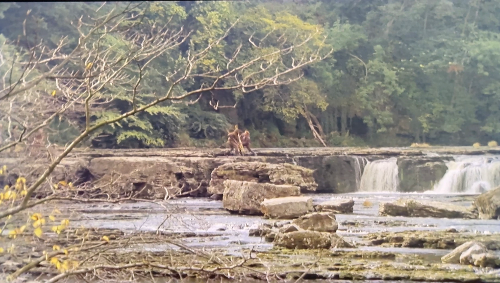 Two people stand near a waterfall in a natural wooded environment