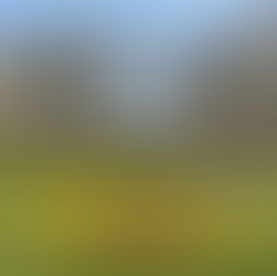 Scenic Harrogate park with flower beds and buildings in the background. Best Spas in Harrogate