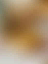 Savory pie, potatoes, gravy, and other food items on a floral plate.