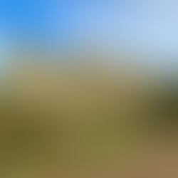 Historic stately home with manicured gardens and blue sky, Date Ideas Harrogate.