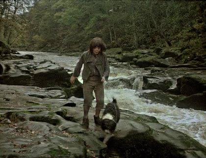 Boy and dog playing in a shallow river among rocks and trees.