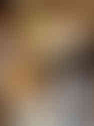 Stacked treats: macarons, cakes, scones, and clotted cream. Activities in Harrogate, The Harrogate Fam.