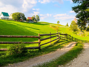 A scenic gravel driveway winding through rolling East Tennessee countryside with split-rail fencing, green pasture, mature trees, and homes in the distance beneath a blue sky, representing the possibilities of buying rural land.