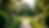 Wide angle view of a beautifully landscaped garden