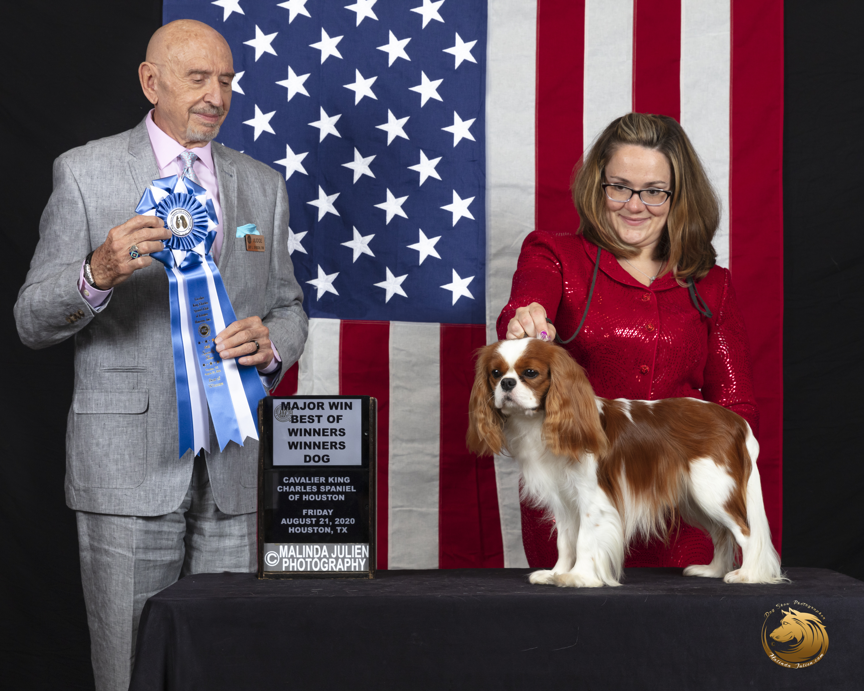 top cavalier king charles breeders