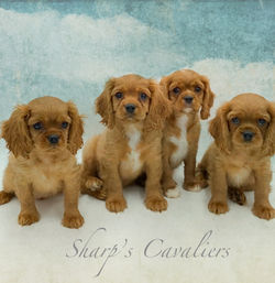 3902435A-E22C-4E6B-B128-B5D08AB08A6E