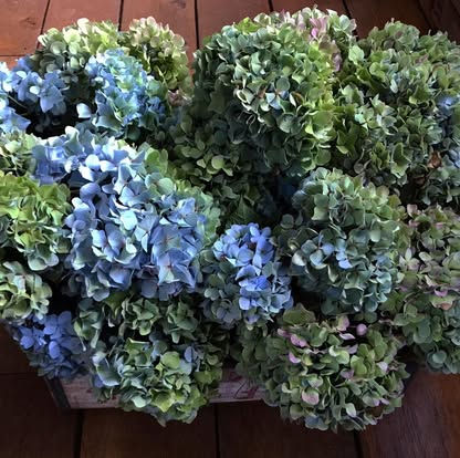 Thumbnail: Schedule a Hydrangea Flower Bar and Paint