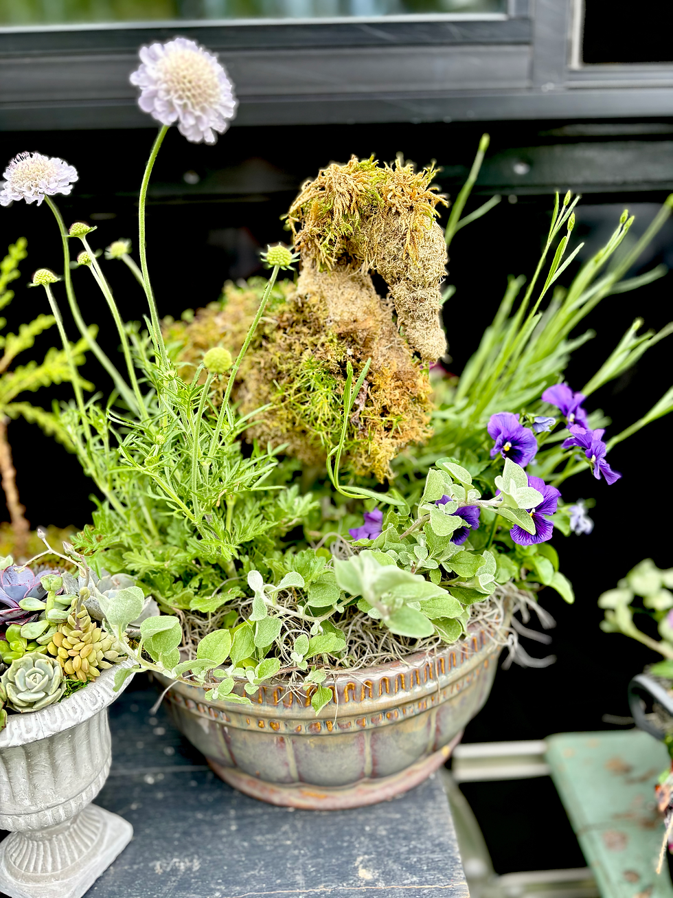 Thumbnail: Tea and Topiary