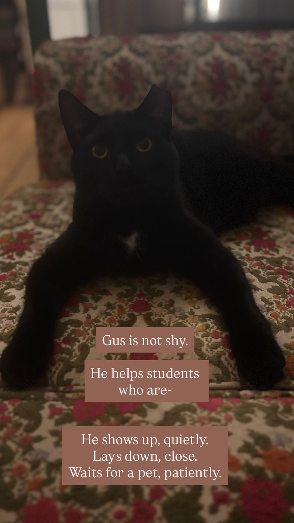 Thumbnail: Kitty Cat Classroom 1:1 Literacy Tutoring Block, K-8