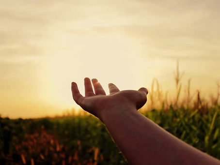 كن لنفسك علاجا لكل شخص ألقى داءه عليك