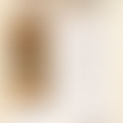 ランチ営業のご案内