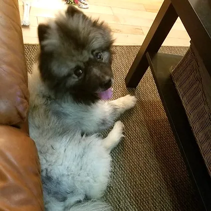 harleyb