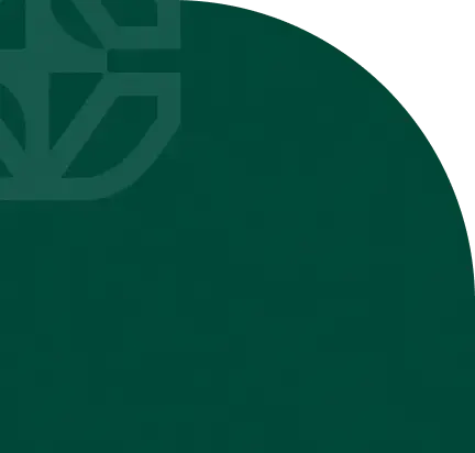 Group-237.webp