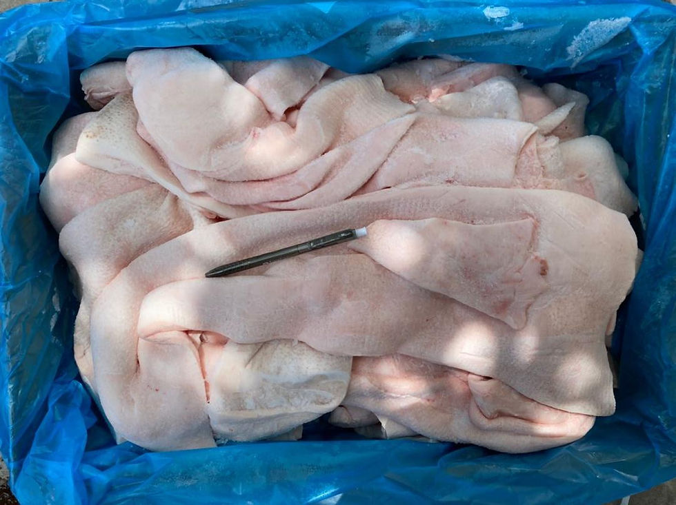 Pork Back Fat