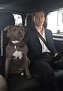 93773a8d38896021b165410d6f451d94.gif