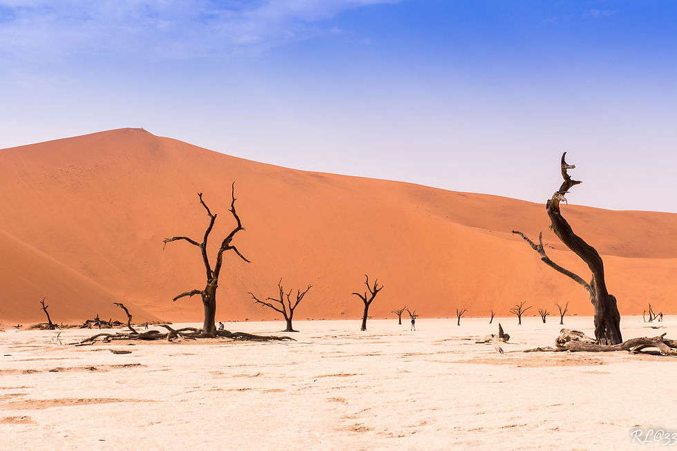 Nambie, le désert du Namib Naukluft