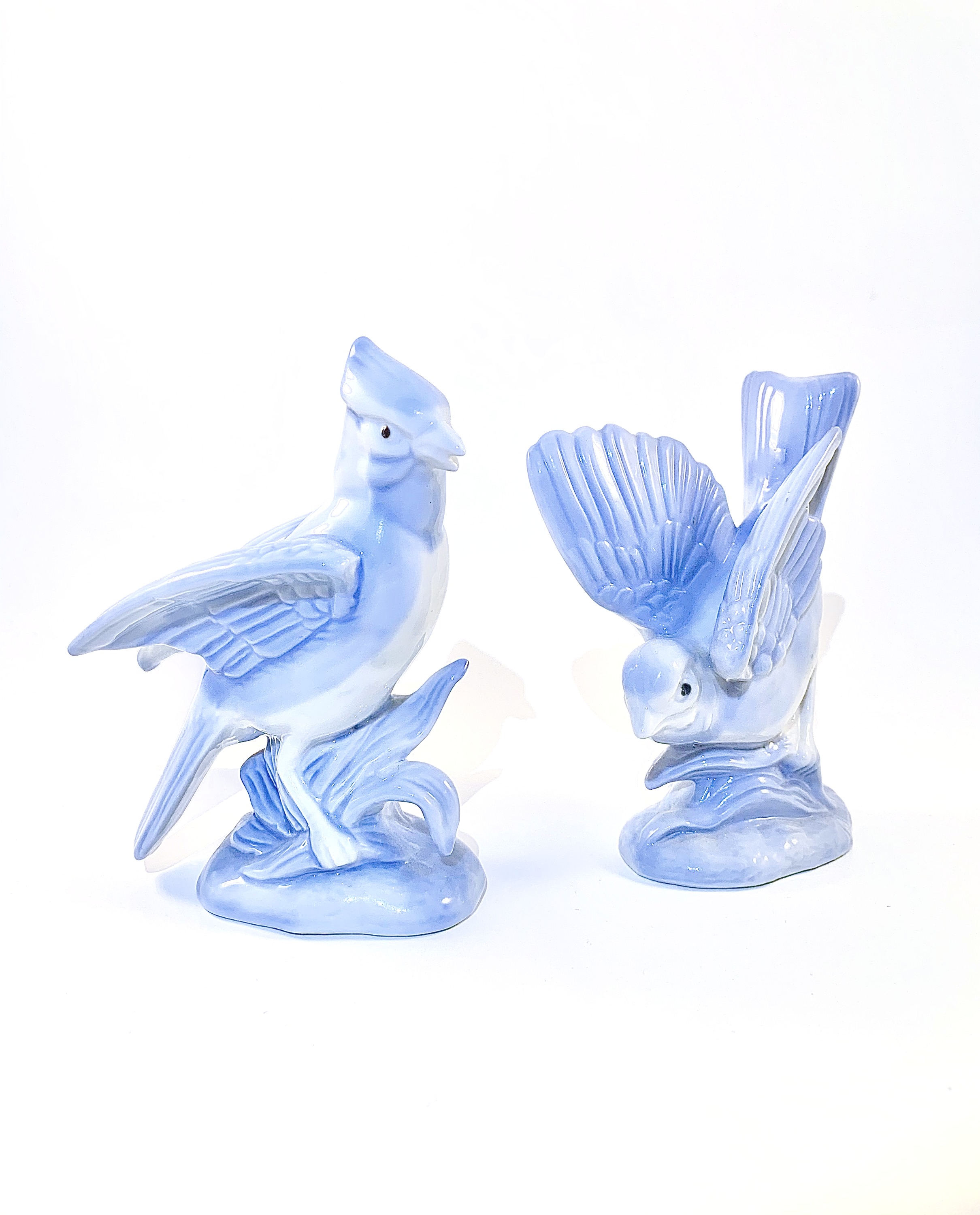 Blue Birds