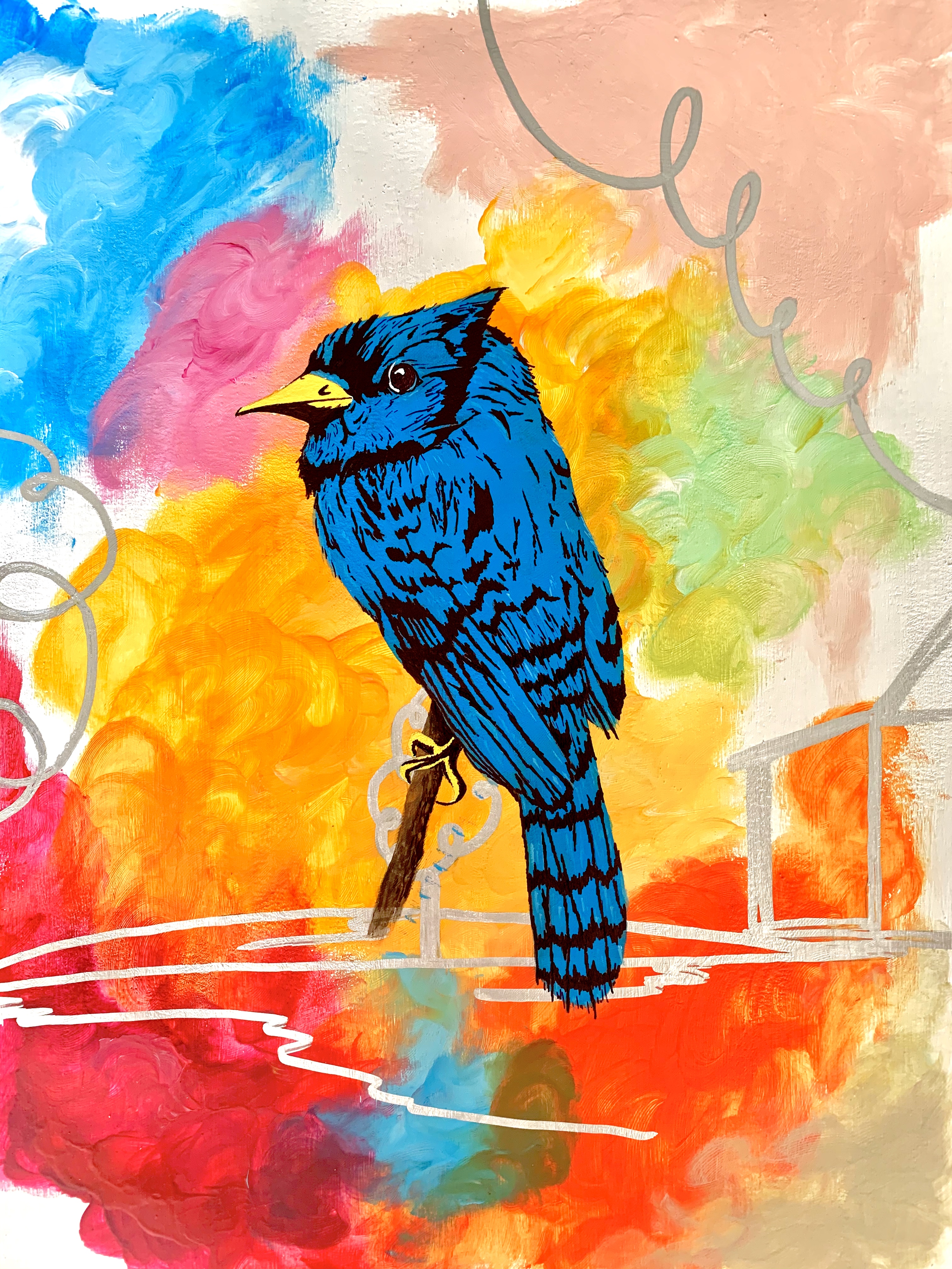 Blue Jay