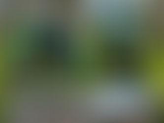 Top dag in Maarsbergen - Competitie Anderstein