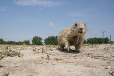 Part Two: 3,000 miles & counting