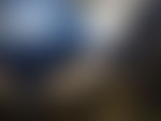 The Forest of Arden.